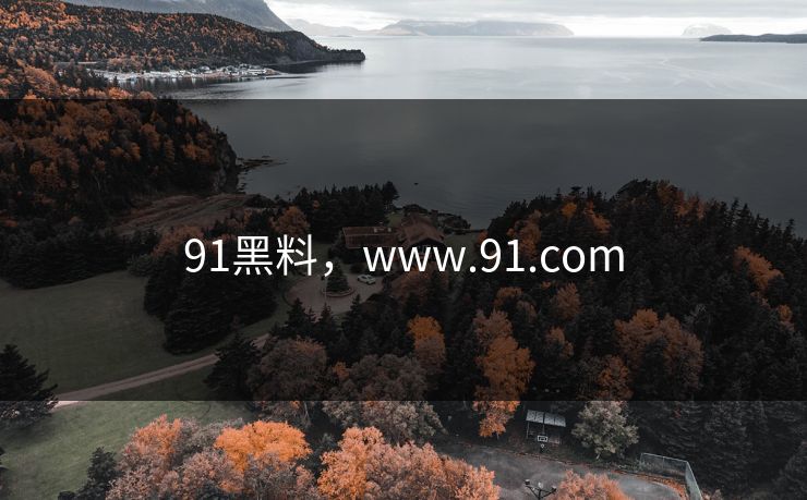 91黑料，www.91.com