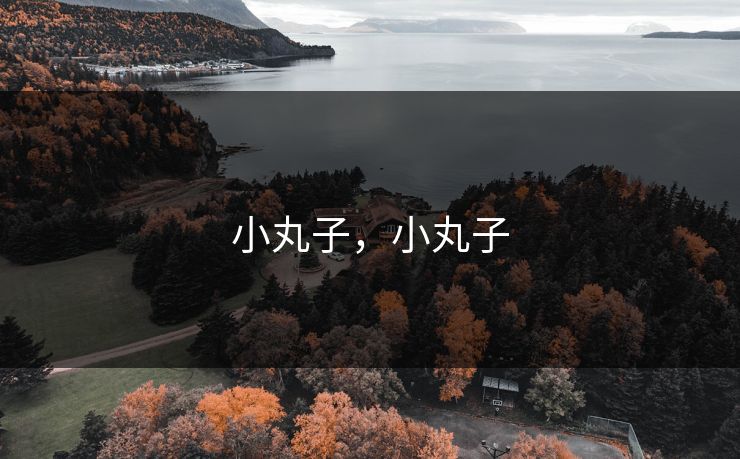 小丸子,小丸子 小丸子,小丸子
