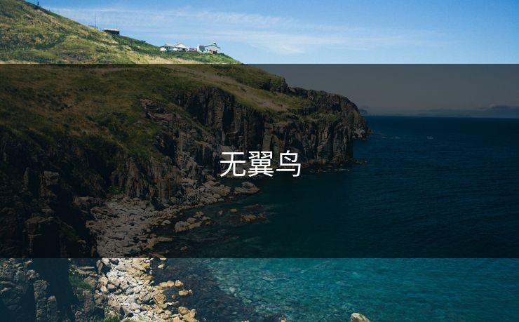 无翼鸟